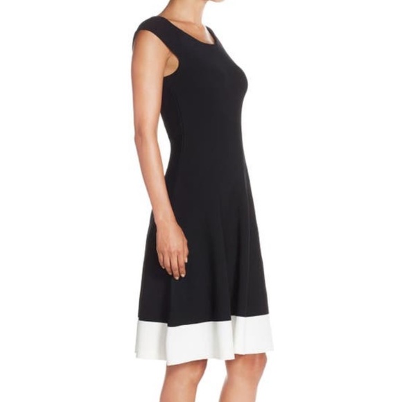 EUC Eliza J Color Block Fit and Flare Dress - Picture 4 of 5